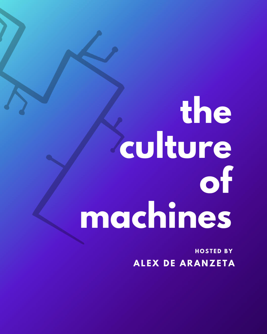 The Culture of Machines